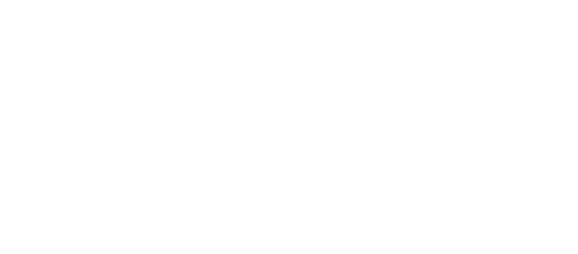 vanlifedreamlogo